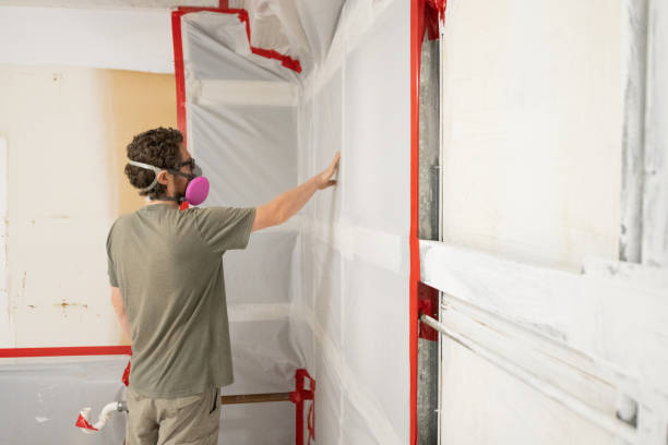Best Comprehensive Air Testing for Mold Contaminants  in Stromsburg, NE