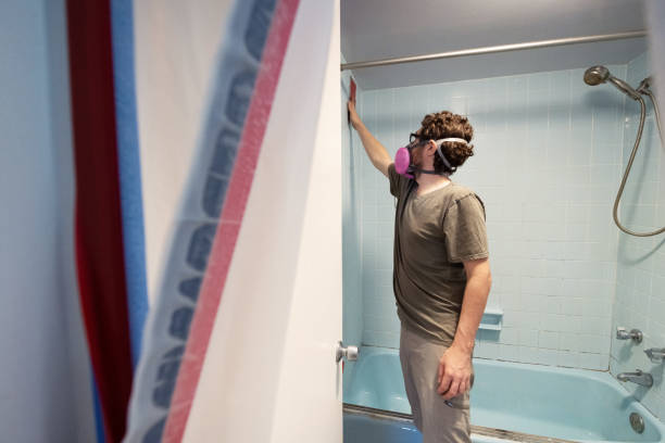  Stromsburg, NE Mold Removal Pros
