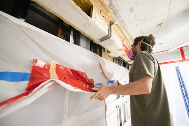 Best Mold Documentation for Insurance Claims  in Stromsburg, NE