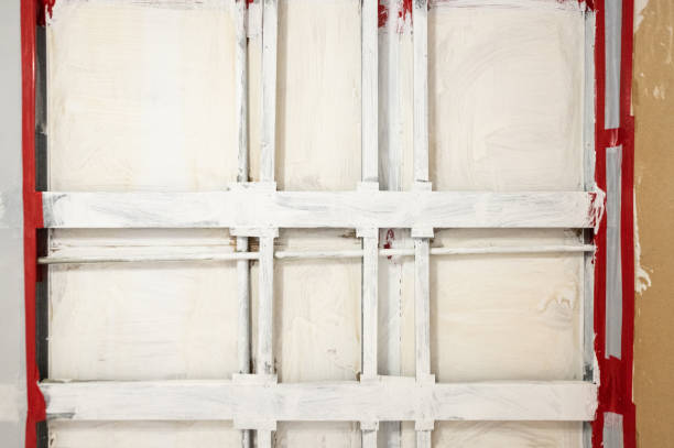 Best Emergency Mold Remediation  in Stromsburg, NE