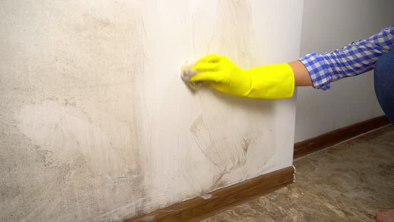 Best Asbestos and Lead Testing During Mold Inspection  in Stromsburg, NE