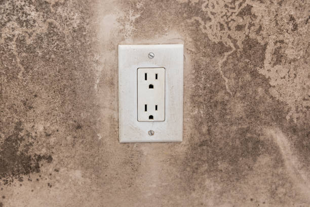 Best Forensic Mold Investigation  in Stromsburg, NE